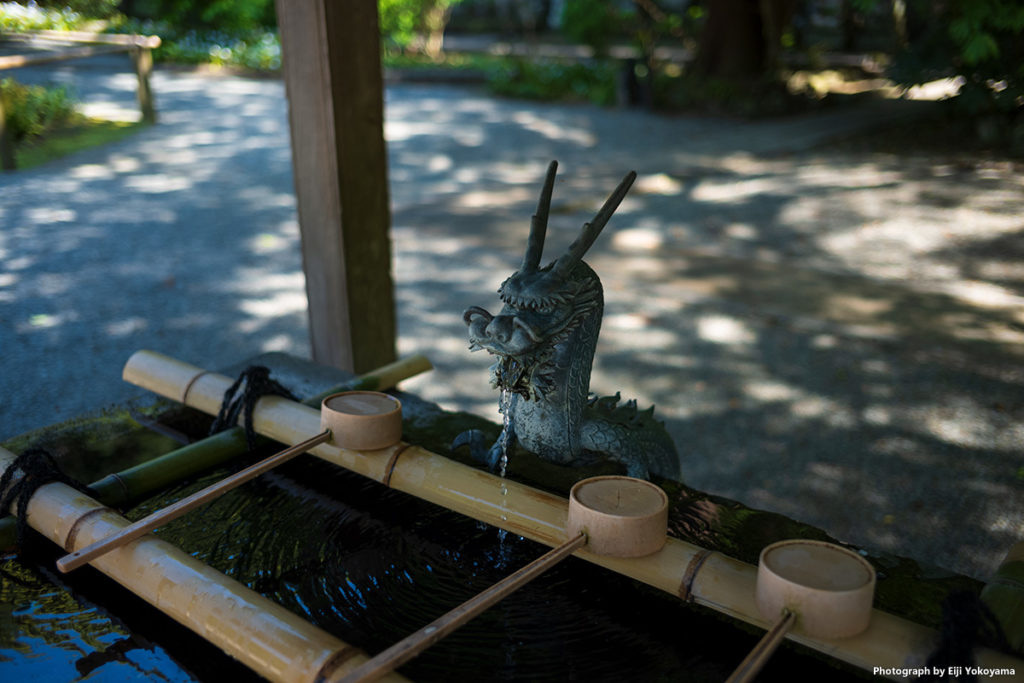 定番。必ず撮りますね、手水舎の龍。こちらも妙本寺にて。