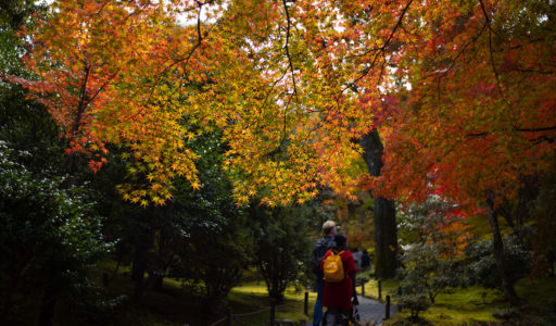 京都嵐山、天龍寺・紅葉。Leica M10 + SUMMICRON 35mm F2 7elements
