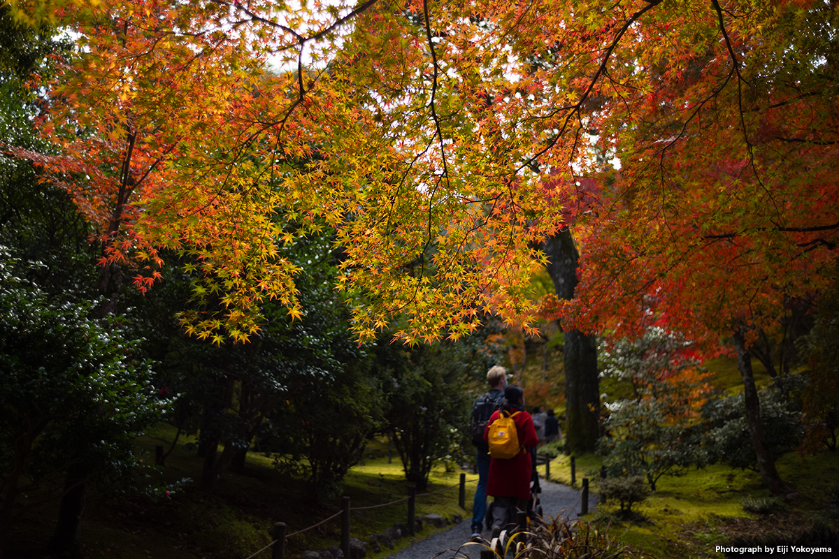 紅葉の始まった京都、Leica M10で