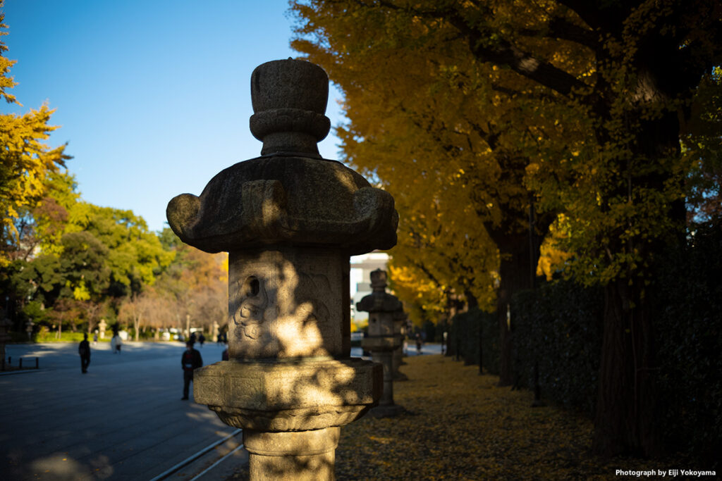 靖国神社、灯籠とイチョウの黄葉。絞り開放F2で撮ってます。