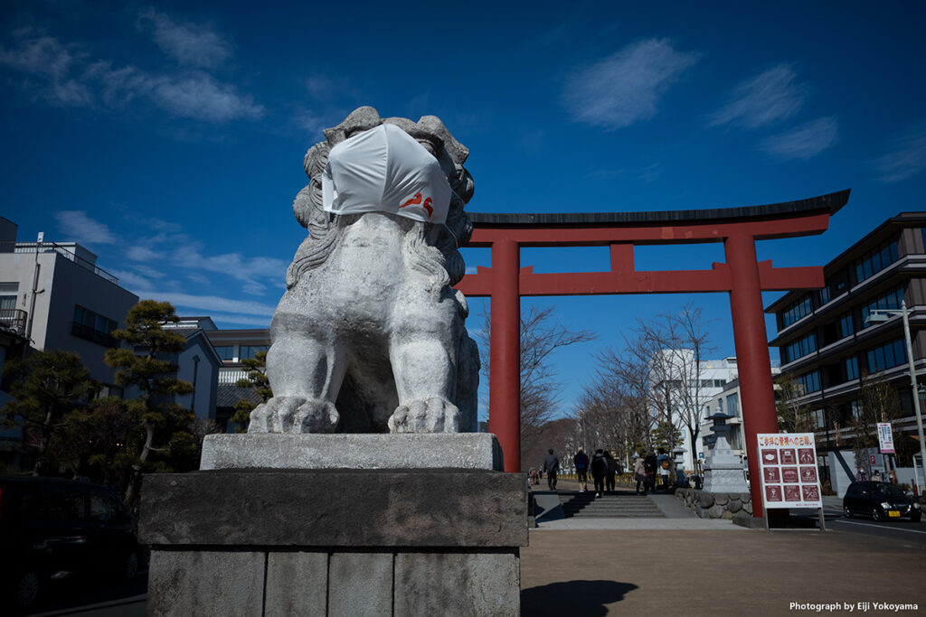 鎌倉・鶴岡八幡宮 二の鳥居 狛犬 Leica M10-R + SUMMARON-M 28mm f/5.6