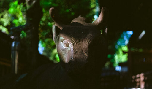 向島、牛島神社の”狛牛”　Leica M-A + Elmer 50mm F2.8 + Kodak Ektar100