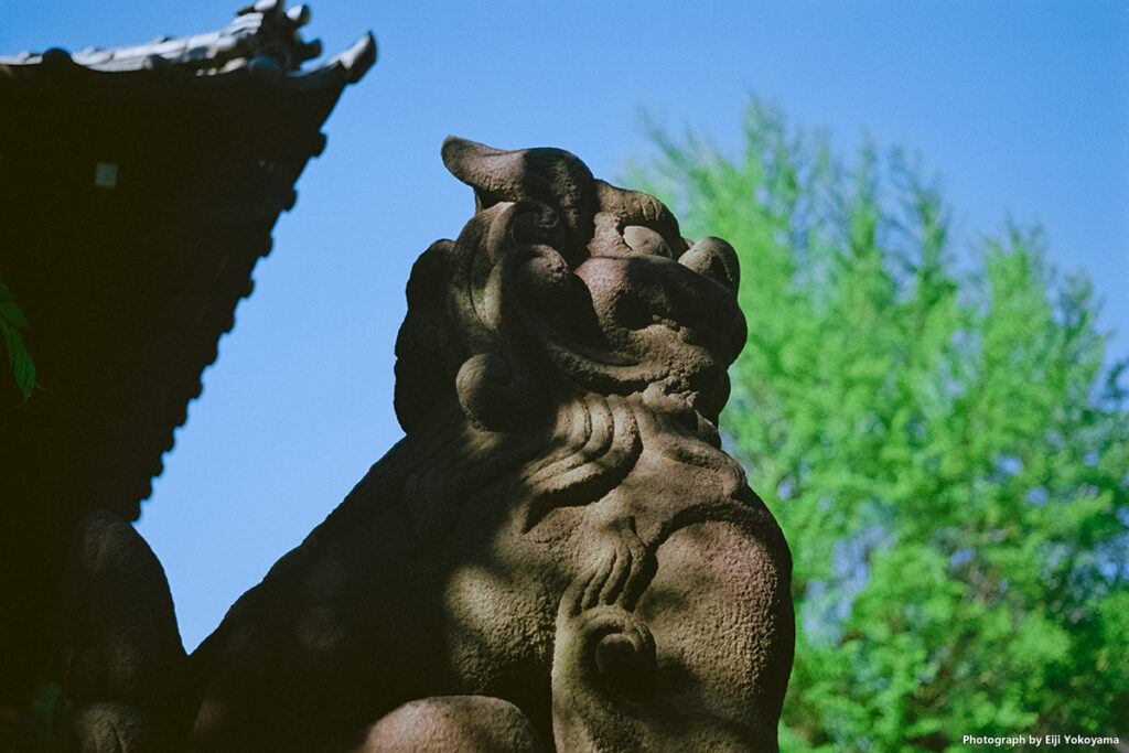 牛島神社の狛犬くん。もう一頭、かっこいい狛犬くんがいたのですが、露出をドジって、、、アウツでした。