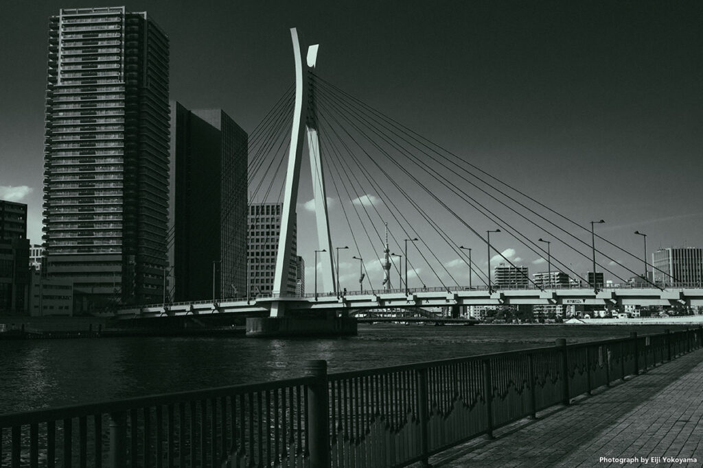 隅田川に架る中央大橋。