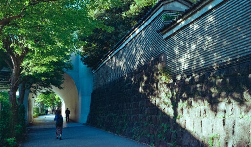 御茶ノ水界隈。右に湯島聖堂の石垣、正面左に聖橋下のトンネル通路。