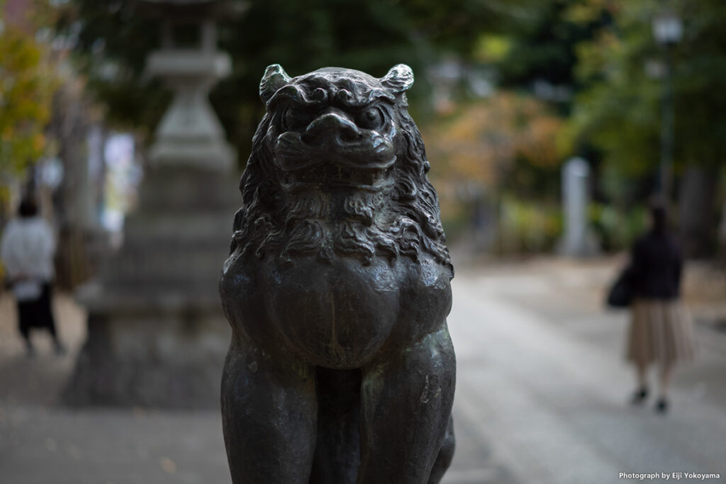 八幡神社の狛犬。NOKTON Vintage Line 50mm、切り貼りしたような立体感。ズミルックスのようで気に入ってます。
