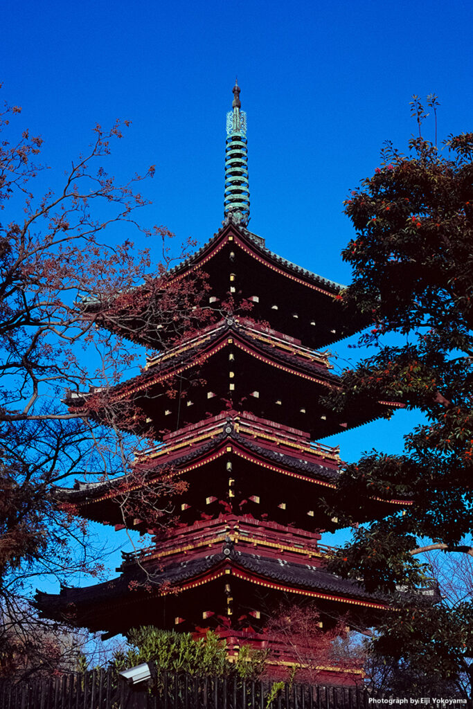 上野東照宮・五重塔。フィルムといえば、その昔、京都でこんなような写真ばっかり撮ってました。