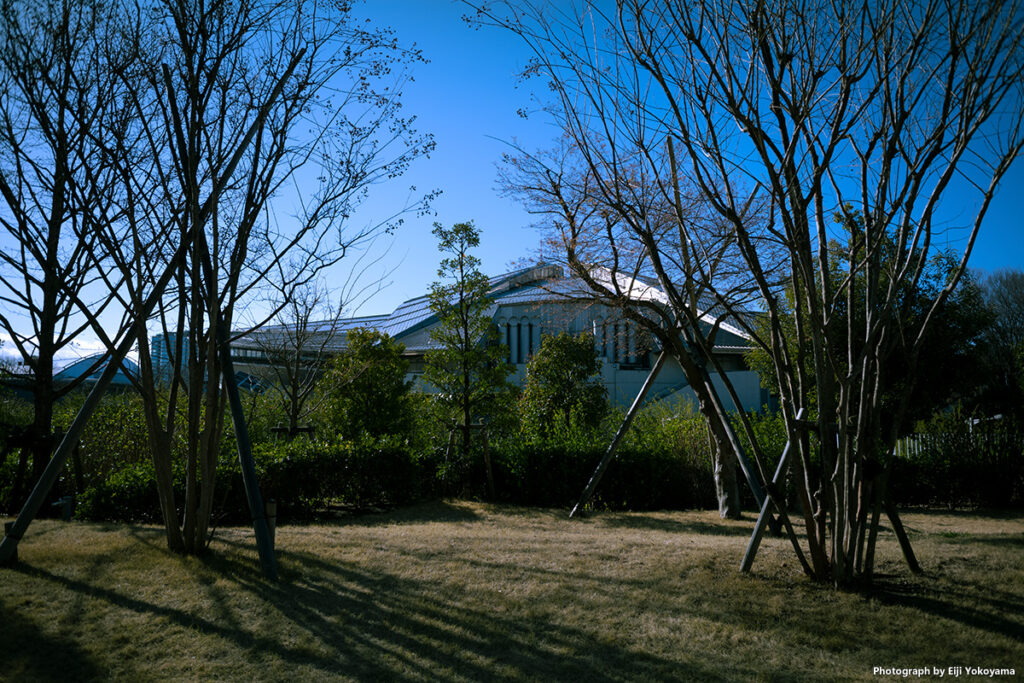 国立競技場から隣の東京体育館。Leica M10-R + SUMMARON-M 28mm f/5.6