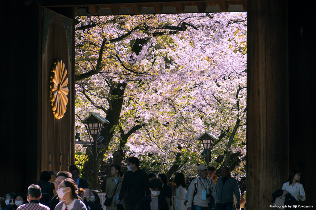 神門と境内の桜。RX100M7/換算200mm