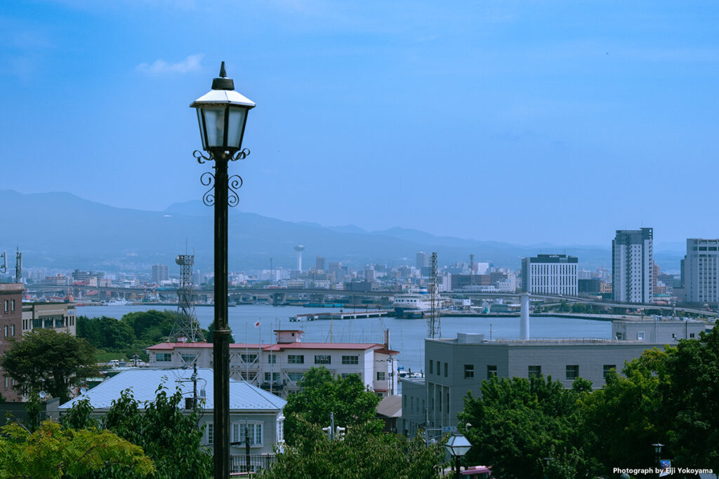 丘の上から函館市内を。中央左、遠くに五稜郭タワーが見える。