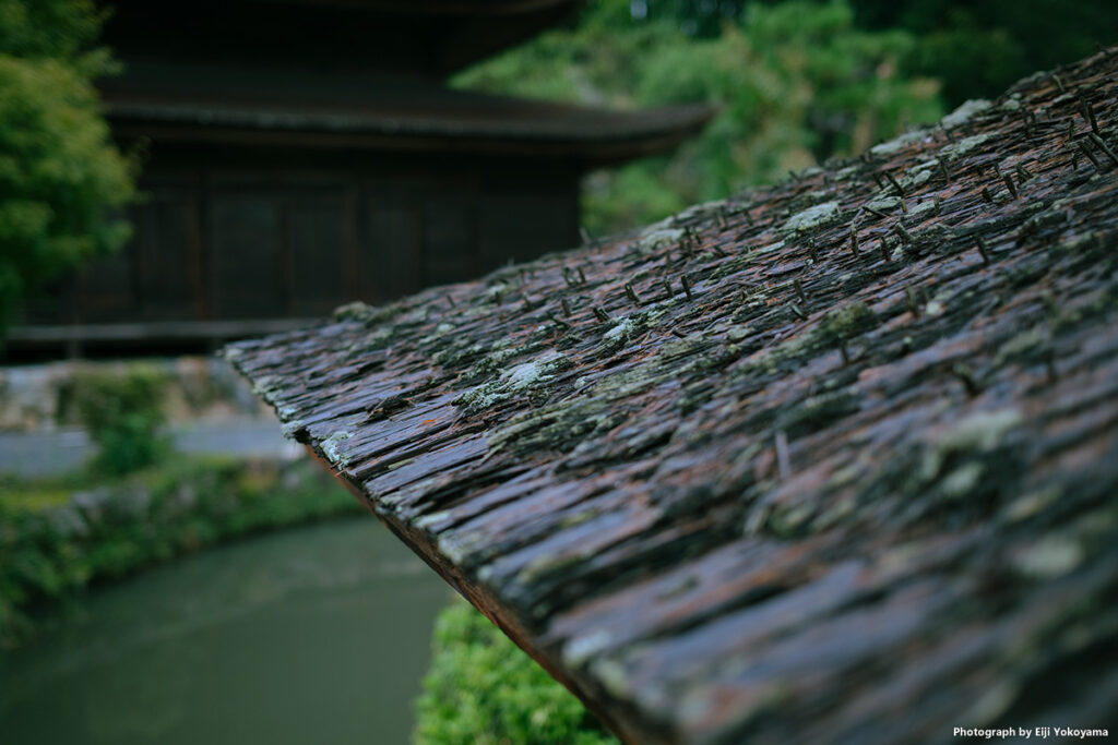 虎渓山永保寺、木屋根の苔。