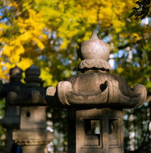 紅葉黄葉・北の丸公園2024