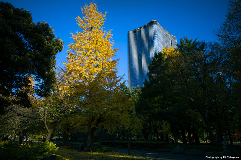 日比谷公園。