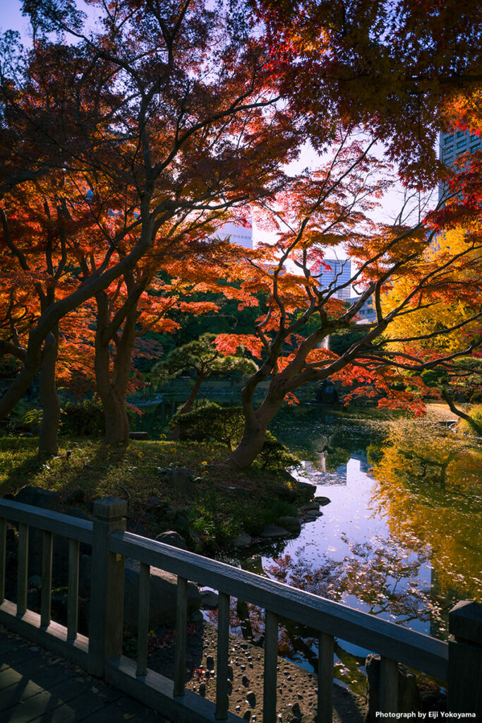 日比谷公園。