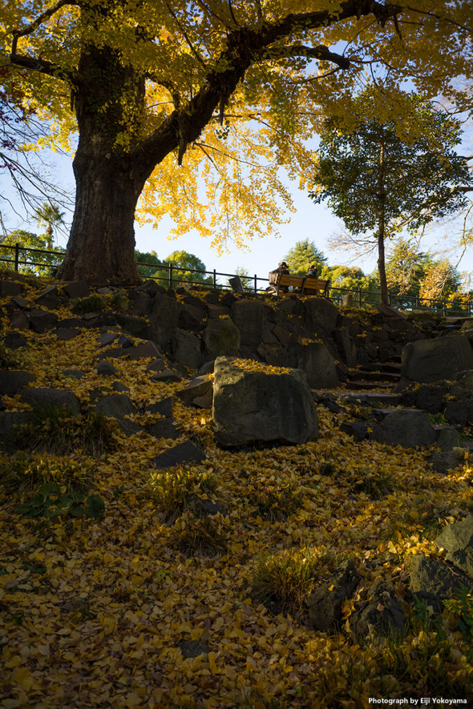 日比谷公園。