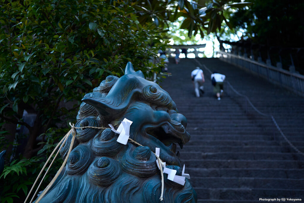 愛宕神社、狛犬と出世の石段。Leica M10-R, Voigtlander COLOR-SKOPAR 35mm F3.5 VM