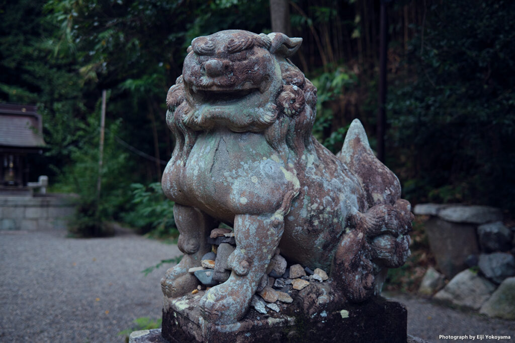 神社に行ったらとりあえず撮ってる狛犬くん。日牟禮八幡宮です。