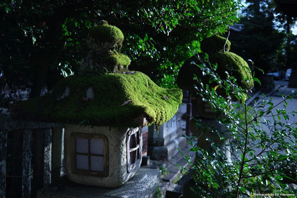 こちらも日牟禮八幡宮、苔に覆われた灯籠。