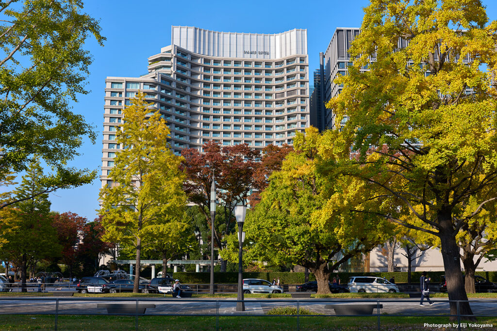 パレスホテル東京をバックに黄葉紅葉。