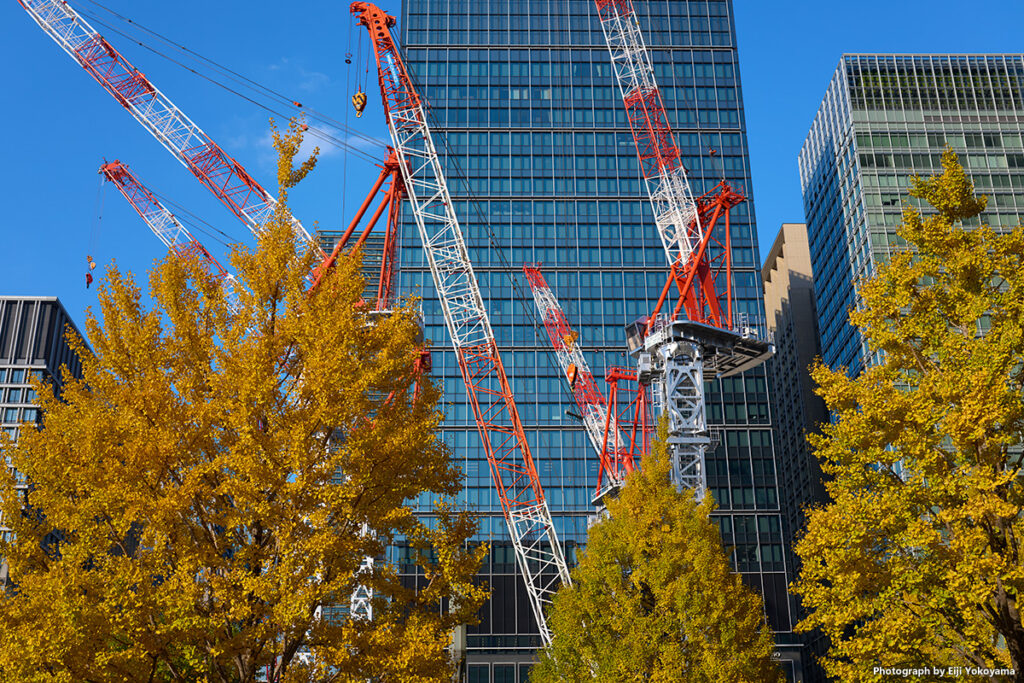 高層ビルにクレーンに黄葉。東京らしい風景です。