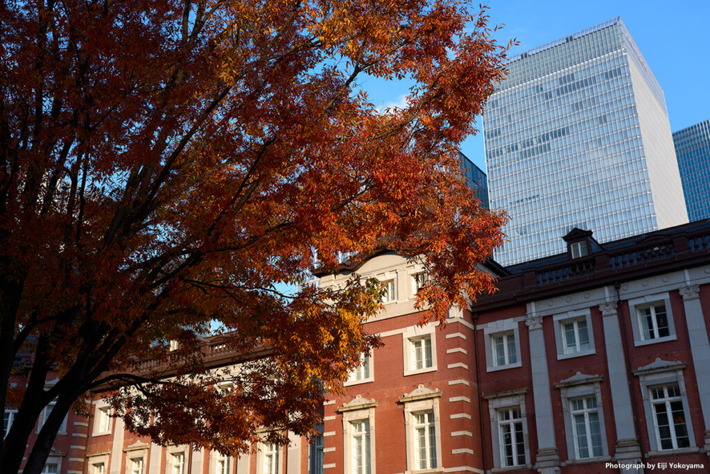 こちらは東京駅の紅葉。