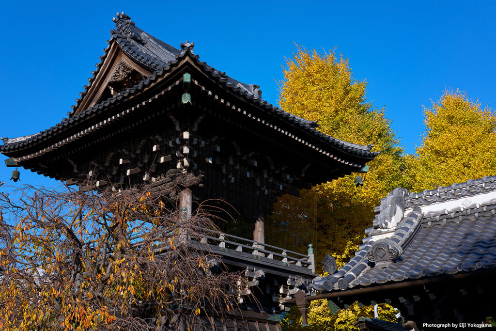 柴又、帝釈天の大鐘楼。源ちゃんはいなかった。Leica Q3 43
