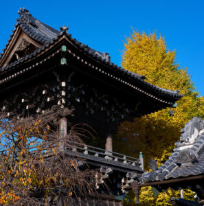 柴又、帝釈天や寅さん記念館とか Leica Q3 43で