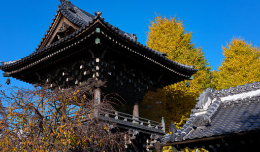 柴又、帝釈天の大鐘楼。源ちゃんはいなかった。Leica Q3 43