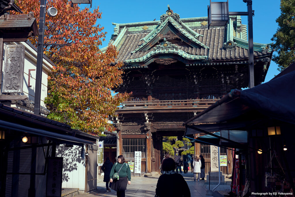帝釈天山門。桜の紅葉がいい感じです。