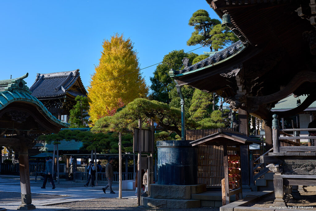 帝釈天境内。左奥が大鐘楼、右が本堂です。