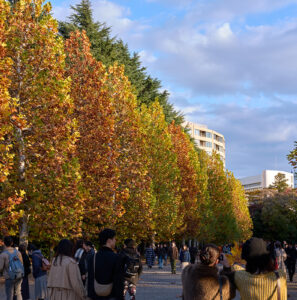 新宿御苑、紅葉黄葉 Leica Q3 43で