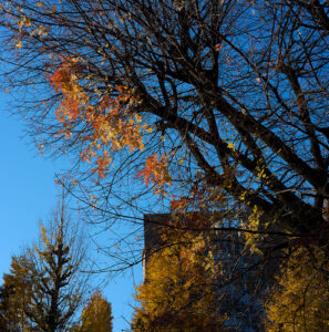 湯島聖堂とお茶の水界隈 Leica Q3 43で