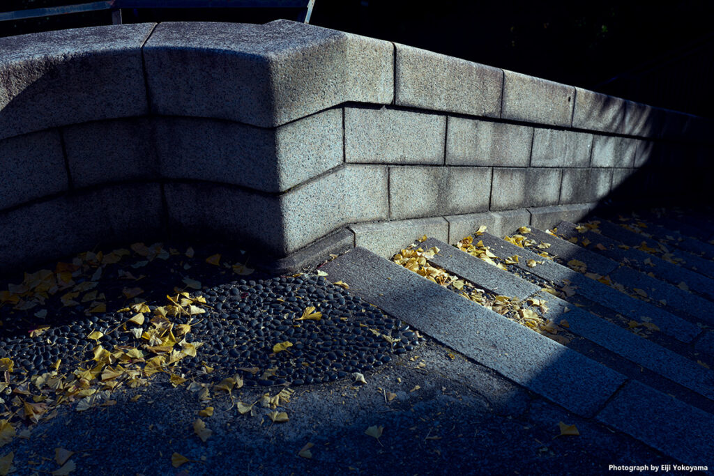 湯島聖堂、聖橋門の石段。