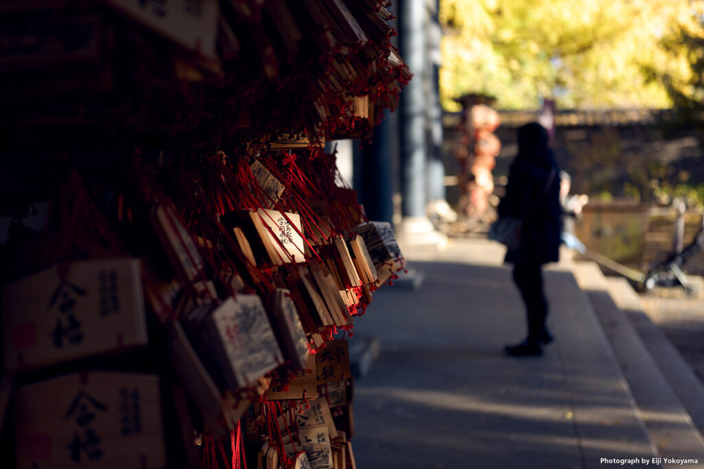 湯島聖堂、こちらも毎度の絵馬。