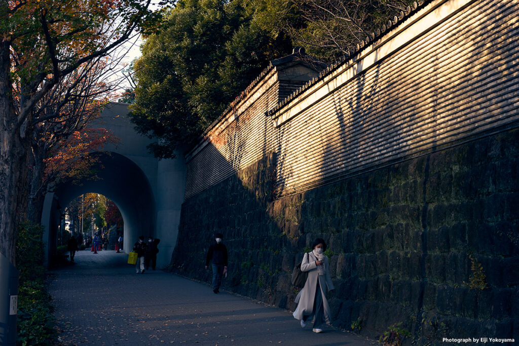 湯島聖堂外壁と聖橋トンネル歩道。
