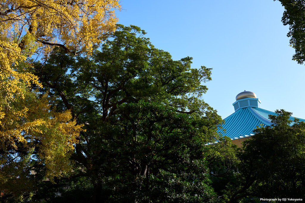北の丸公園。右下に武道館の屋根。