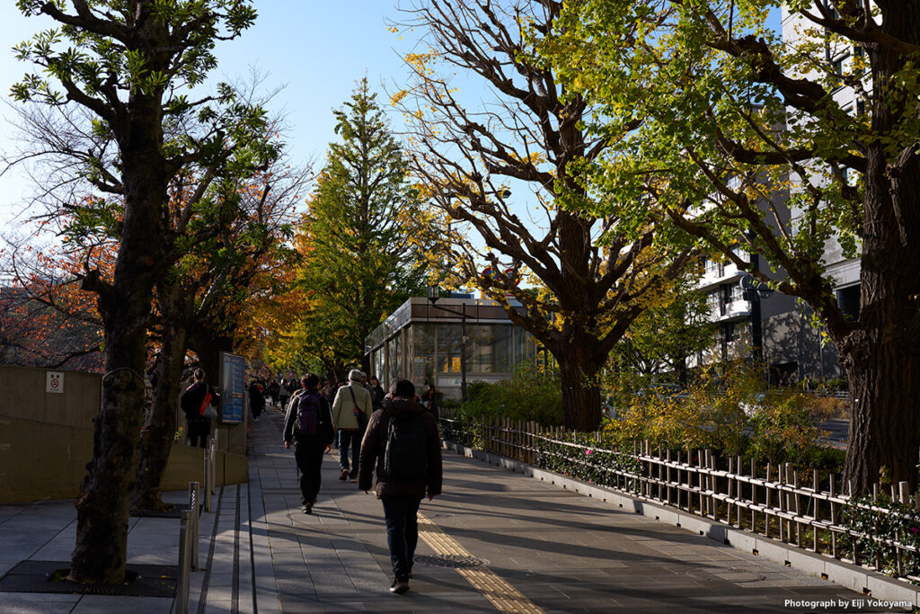 九段下。坂をわずかに登って歩くと、右に靖国神社、左に北の丸公園。