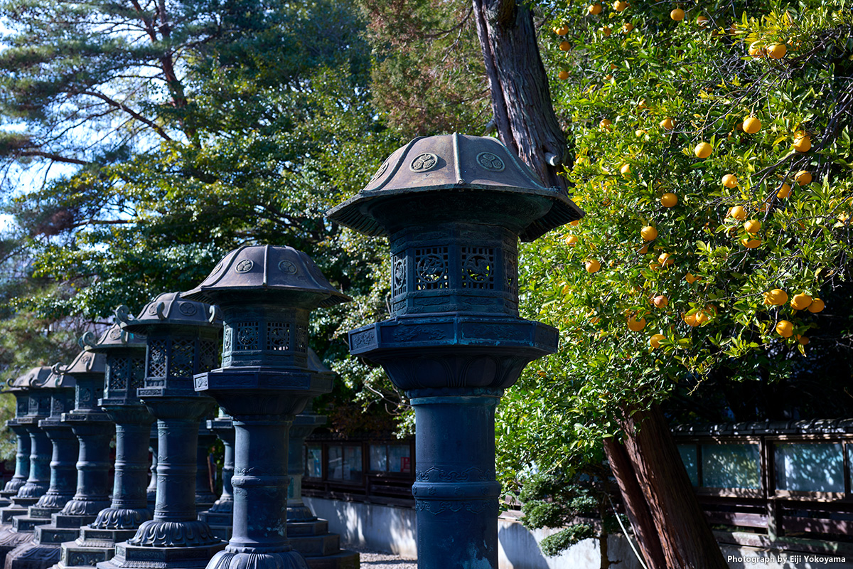 上野公園 Leica Q3 43で