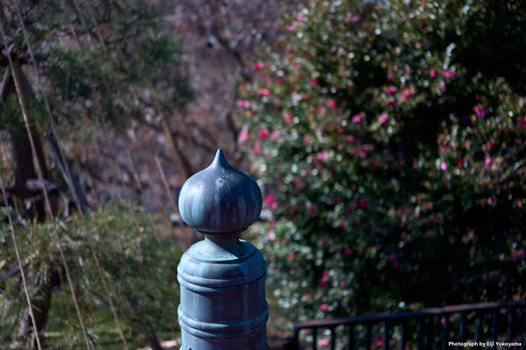 清水観音堂。ついつい撮ってしまう欄干。バックに椿。