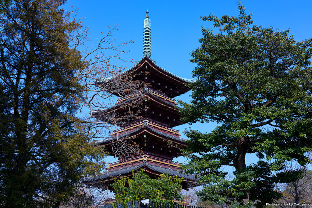 五重塔。これも、あれば必ず撮ります。