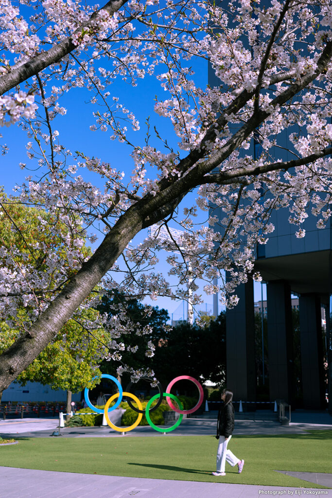 こちらも、オリンピックミュージアム。桜の下に五輪のオブジェ。