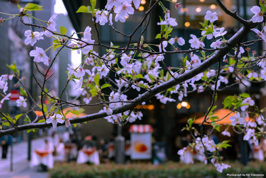 CORED 室町あたり。