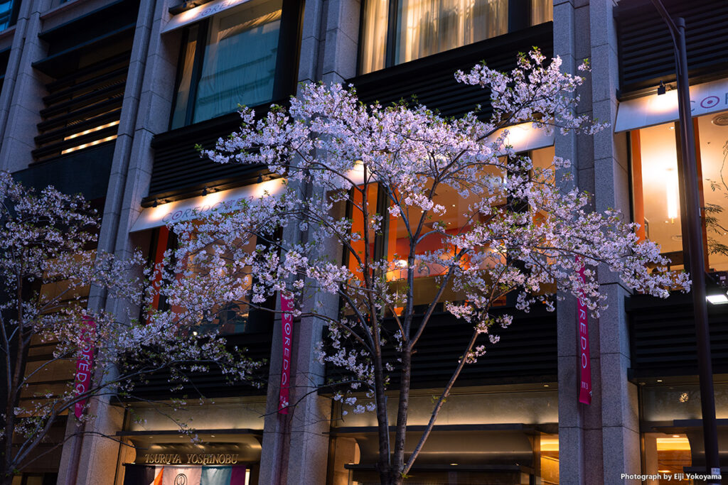 CORED 室町あたり。