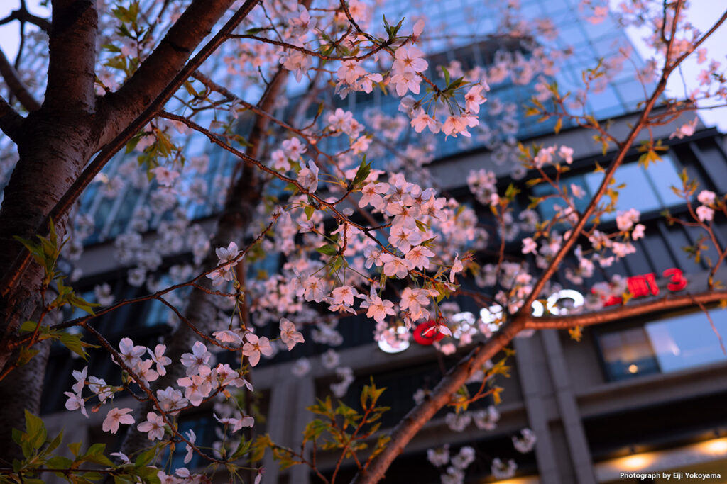 CORED 室町あたり。