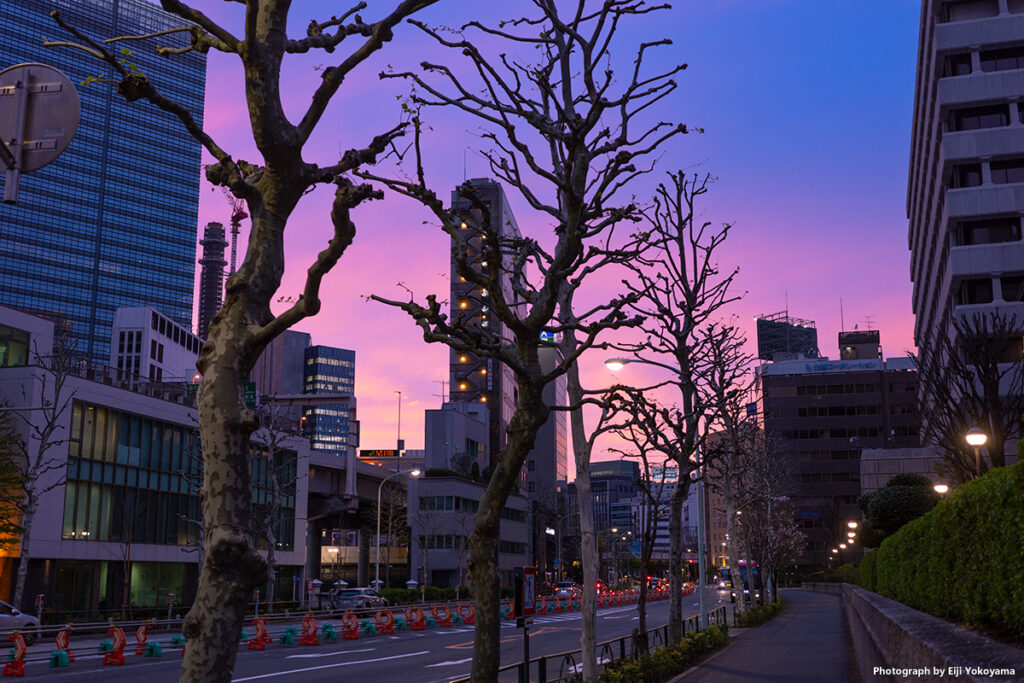 夕焼け。造幣局横にて。
